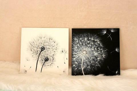 Dandelion - Black & White Set